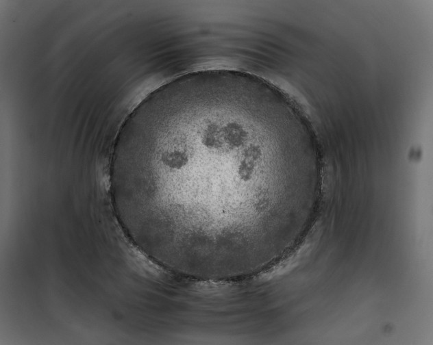 X0000101440929200807141302