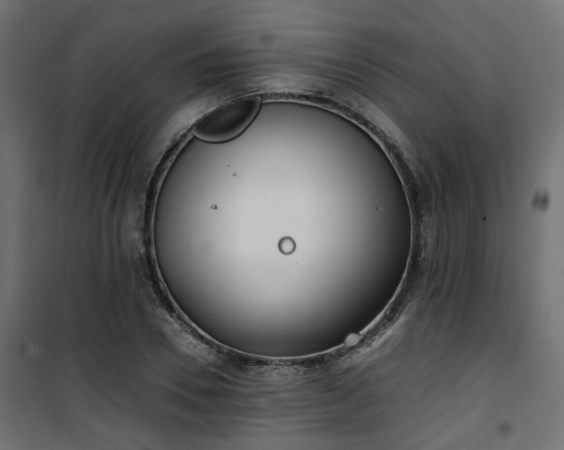 X0000101440930200807141302