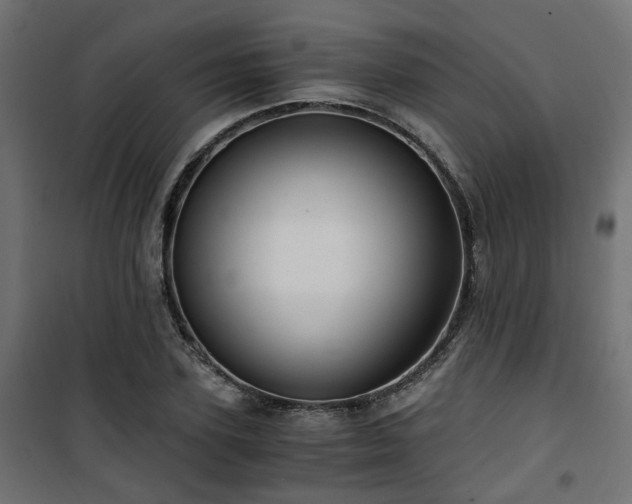 X0000101440931200807141302