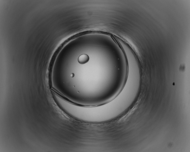 X0000101440932200807141302