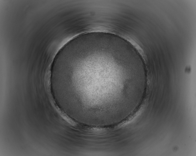 X0000101440933200807141302