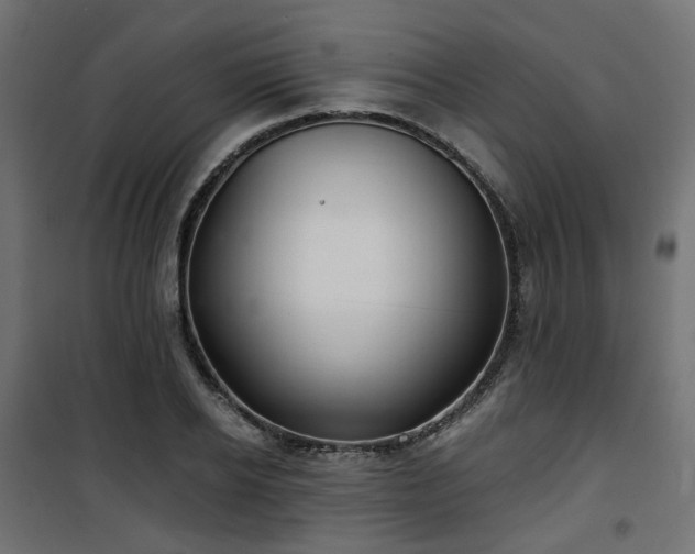 X0000101440934200807141302