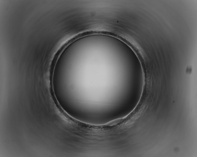 X0000101440935200807141302