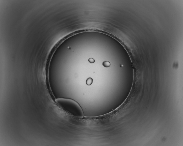 X0000101440936200807141302