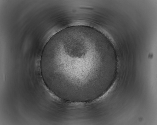 X0000101440937200807141302