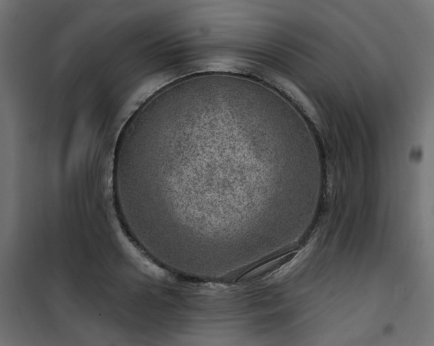 X0000101440938200807141302