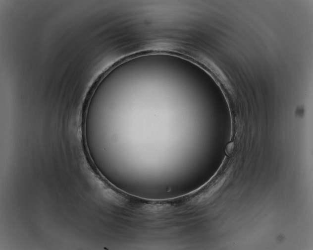 X0000101440939200807141302