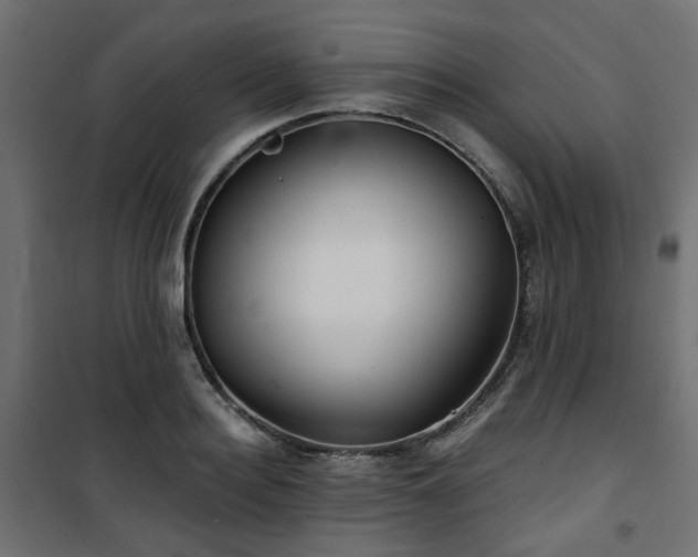 X0000101440940200807141303