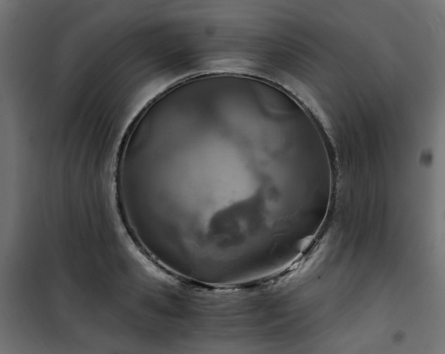 X0000101440941200807141303