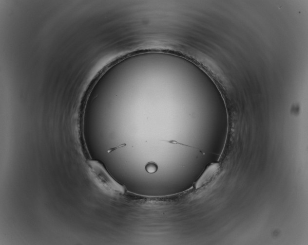 X0000101440942200807141303