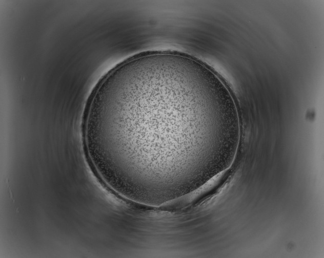 X0000101440943200807141303