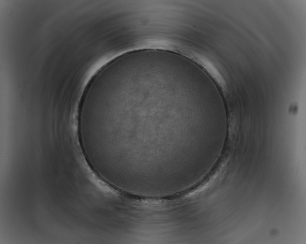 X0000101440944200807141303