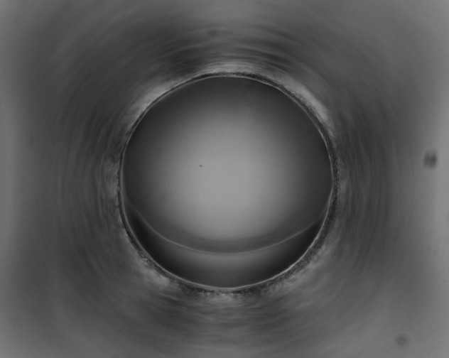 X0000101440945200807141303