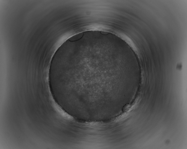 X0000101440946200807141303