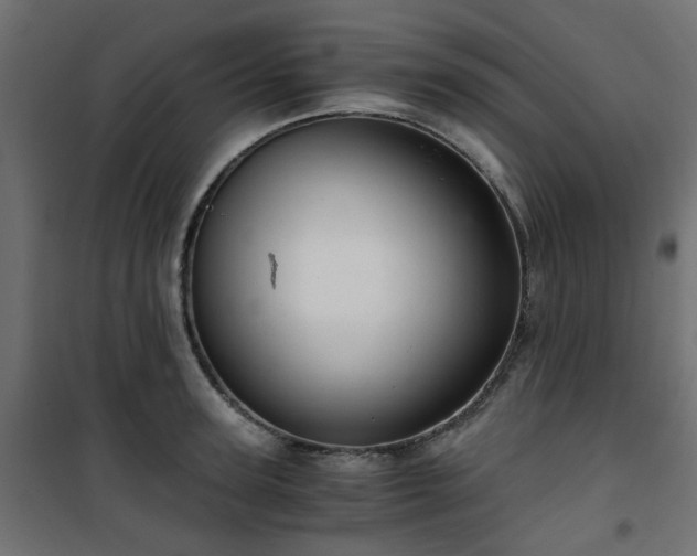 X0000101440947200807141303