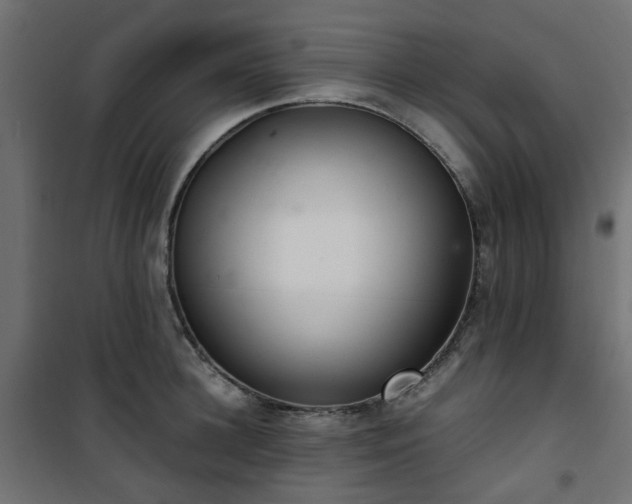 X0000101440948200807141303