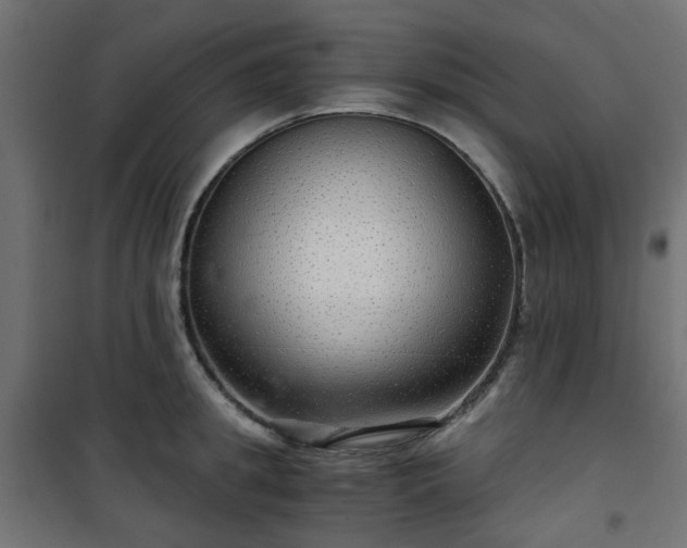 X0000101440949200807141303