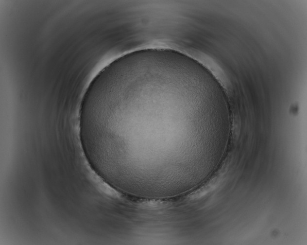 X0000101440950200807141303