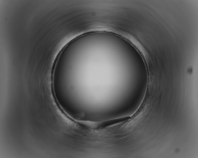 X0000101440951200807141303