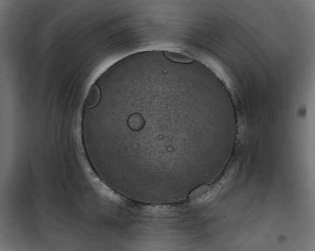 X0000101440952200807141303