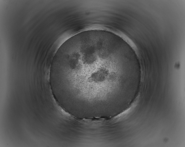 X0000101440953200807141303