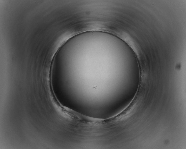 X0000101440954200807141303