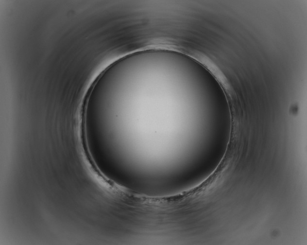 X0000101440955200807141303