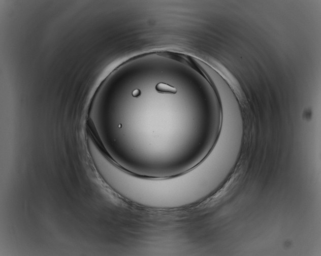 X0000101440956200807141303