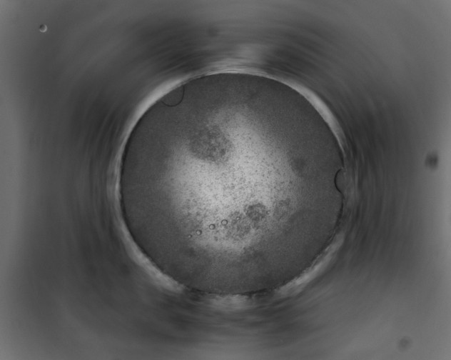 X0000101440957200807141303