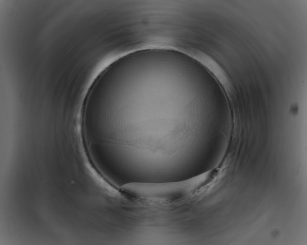 X0000101440958200807141303