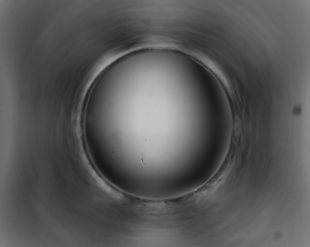 X0000101440959200807141303