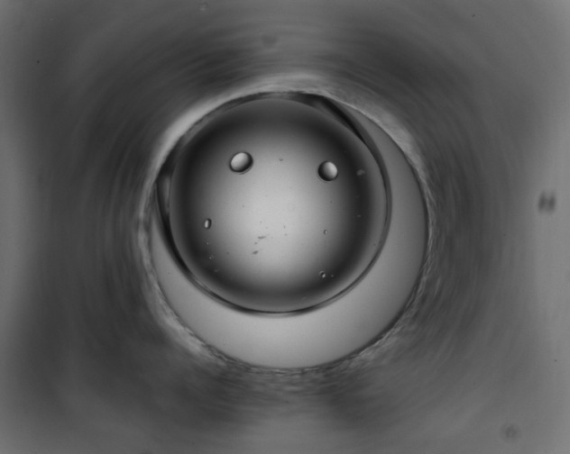 X0000101440960200807141303