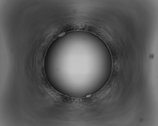 X0000101440961200807141302