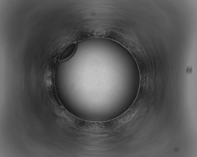 X0000101440962200807141302