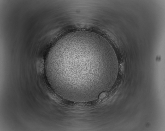 X0000101440963200807141302