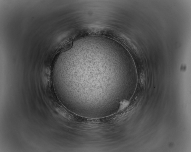 X0000101440964200807141302