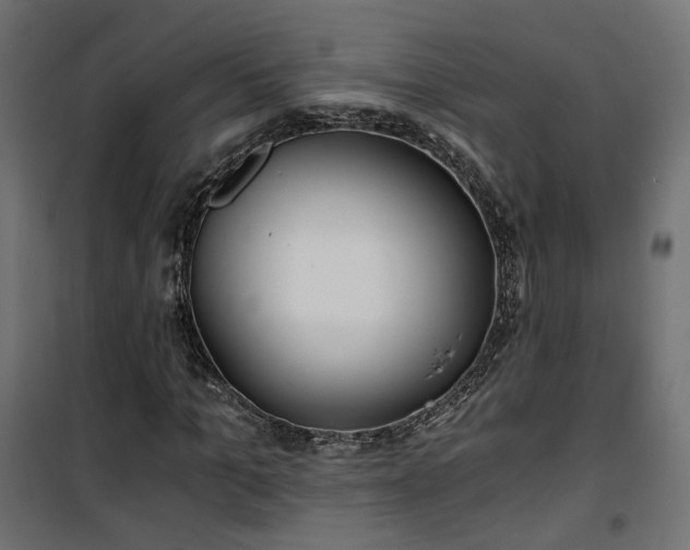 X0000101440965200807141302