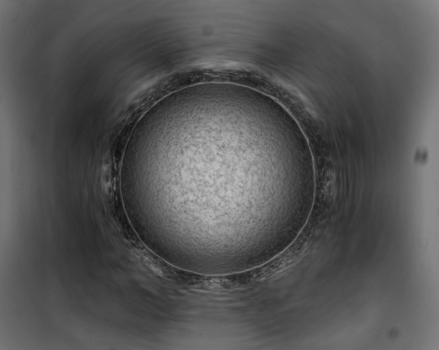 X0000101440966200807141302