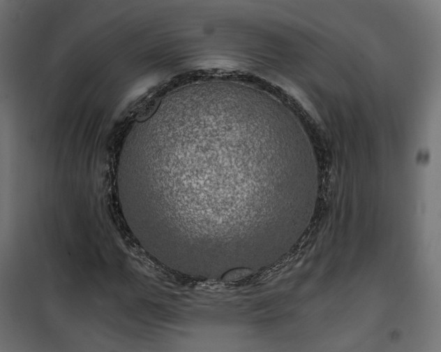 X0000101440967200807141302