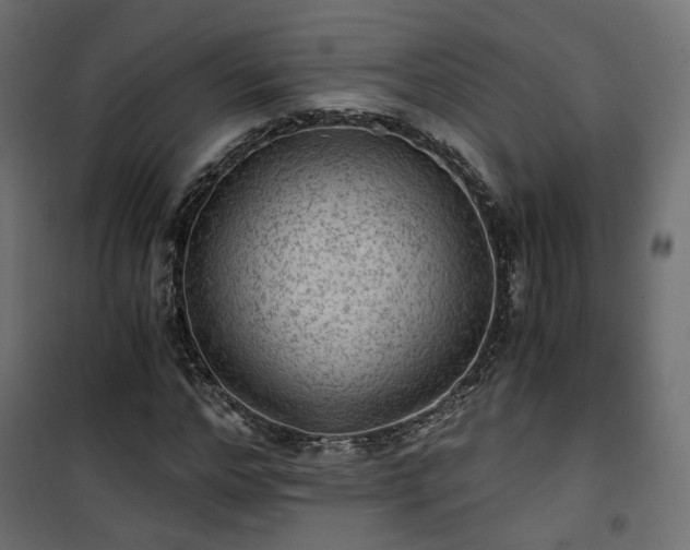 X0000101440968200807141302