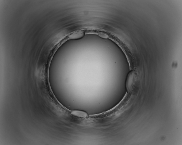 X0000101440969200807141302