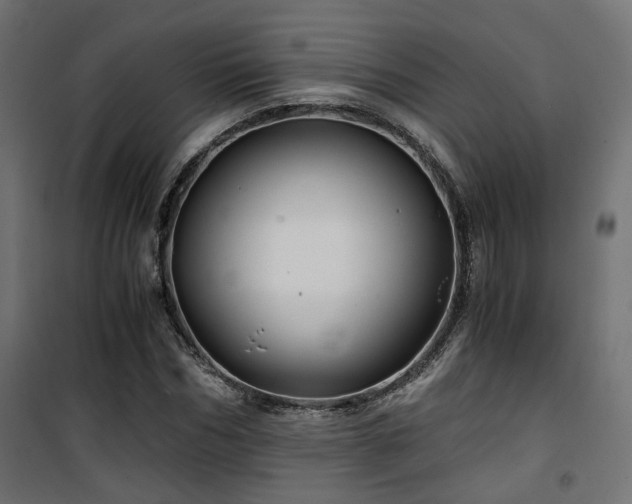 X0000101440970200807141302