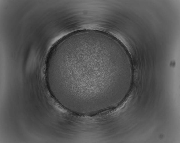 X0000101440971200807141302