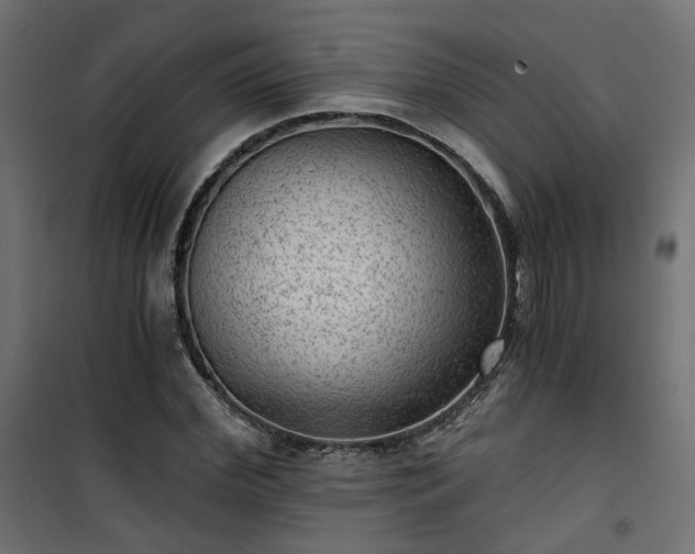 X0000101440972200807141302