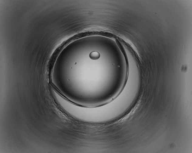 X0000101440973200807141302