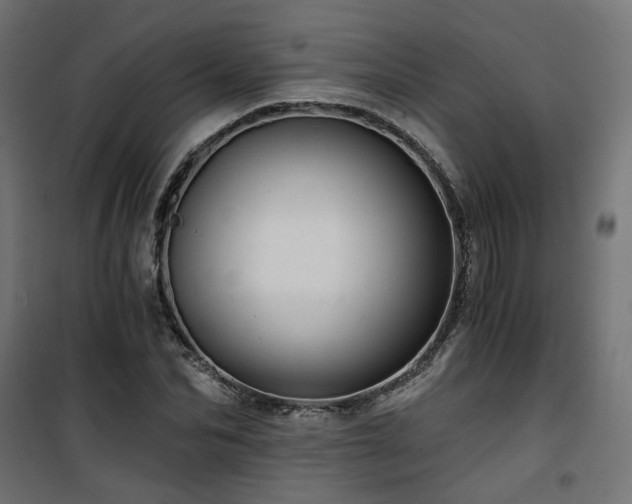 X0000101440974200807141302