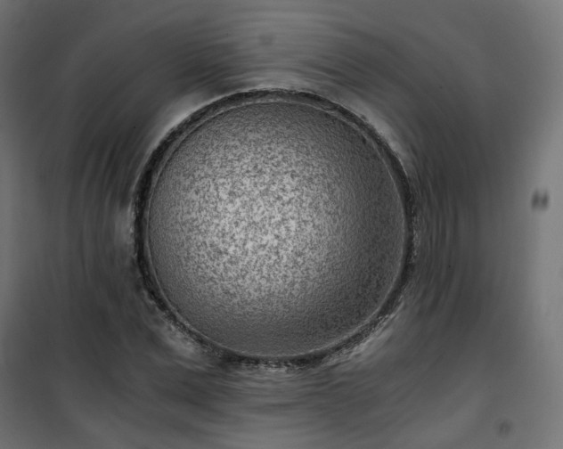 X0000101440975200807141302