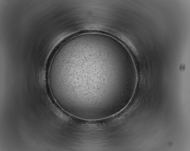 X0000101440976200807141302