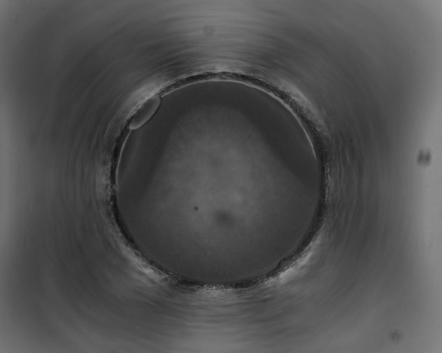 X0000101440977200807141302