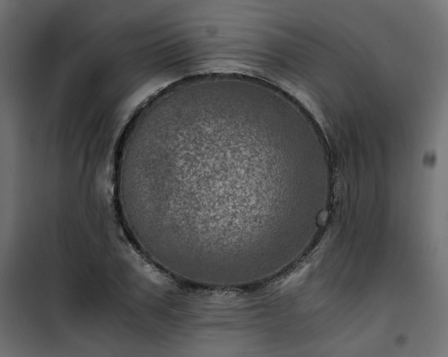 X0000101440979200807141302